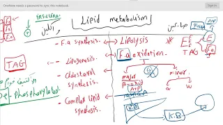 Lipid metabolism - Lec.1 - introduction