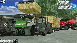 Harvesting OAT, Baling and Collecting STRAW│Gelderland│FS 22│12