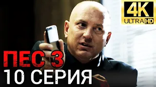 Сериал ПЕС 3 сезон - 10 серия - Все серии подряд в 4К - Смотреть онлайн в хорошем качестве