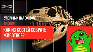 Упоротый Палеонтолог. Как из костей собрать животное?