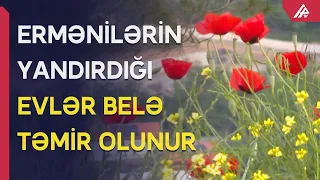 Ermənilərin viran qoyduğu Laçın şəhəri qısa müddətdə cənnətə çevrildi - APA TV