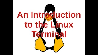 LINUX SUNDAYS Episode 3: Season 1 of learning Linux with TaToG Tech: A Brief Intro to the Terminal