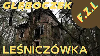 OPUSZCZONA LEŚNICZÓWKA W PUSZCZY ZIELONKA | Abandoned forester's lodge in the Zielonka Forest |.