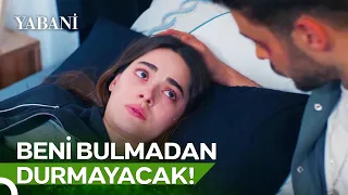 Rüya Yaşanan Her Şeyi Tek Tek Anlattı | Yabani 34. Bölüm