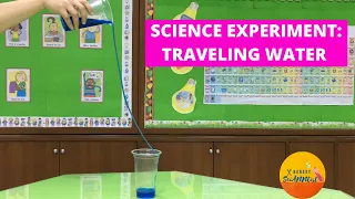 Traveling Water Experiment | Cohesion and Adhesion in Water Explained | Science Experiment for Kids