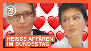 Das steckt hinter Bundestags-Fanfictions | @coldmirror