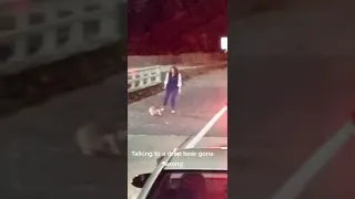 Коала напала на женщину посреди улицы в Австралии