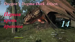 Dragon's Dogma Dark Arisen.#14. Подготовка и первый бой с дрейком.