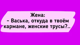 АНЕКДОТЫ! Васька и Трусы. Сборник Смешных Анекдотов!