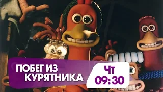 Семейный мульфильм "Побег из курятника" завтра на НТК!