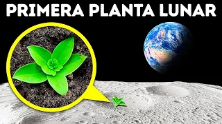 Los científicos cultivan plantas en suelo lunar + Datos asombrosos de plantas que no sabías