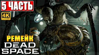 ПРОХОЖДЕНИЕ DEAD SPACE REMAKE (2023) [4K] ➤ Часть 5 ➤ На Русском ➤ Дэд Спейс на ПК RTX 4090