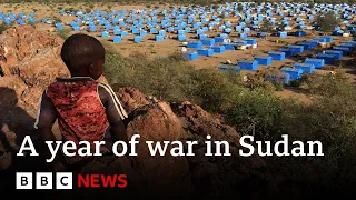Sudan: Millions driven to extreme hunger in war-ravaged country | BBC News