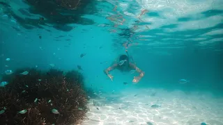 Anantara Veli Maldives Snorkeling