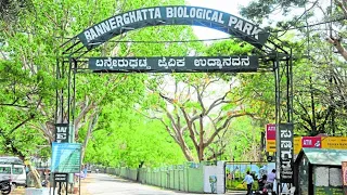 Bannerghatta Biological Park / Bannerghatta Zoo 2020