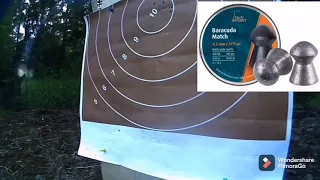 H&N Baracuda Match 0.69g 4.5mm/177cal. Pellet test.