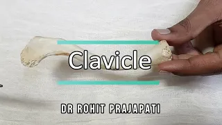 Clavicle Bone Demonstration l Side side determination | Anatomical Position | Attachments | Applied