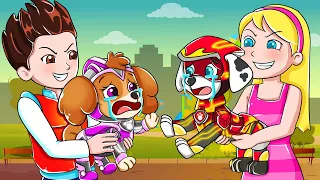 Paw Patrol Mighty Movie | Marshall & Skye's Sad Love Story | Rainbow Friends 3