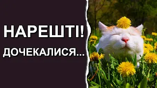 Погода в Україні схаменеться: Погода у квітні 2023