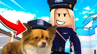 MIN HUND LÄR MIG SPELA HUNDSPEL I ROBLOX