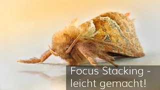 Focus Stacking - leicht gemacht!