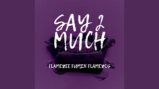 Say 2 Much