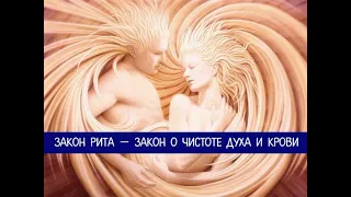 Законы РИТА (телегония)