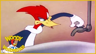 Woody Woodpecker | Bathing Buddies | Old Cartoon | Woody Woodpecker Full Episodes | Videos for Kids