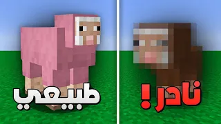 اكثر 50 معلومة مخفية في ماين كرافت