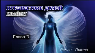 🌌КРАЙОН .Путешествие Домой глава 11 Майкл Томас и 7 ангелов (озвучивает Nikosho)