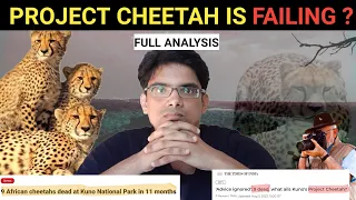 Is Project Cheetah Failing in India ? | Analysis by Rakesh Ranjan