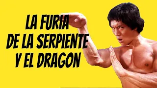 Wu Tang Collection - La Furia De La Serpiente Y El Dragón (Dragon's Snake Fist- English subtitles)