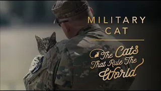 EP 2 | MILITARY CAT, IZZY | THE CATS THAT RULE THE WORLD | SHEBA®