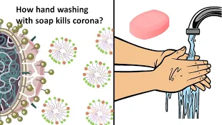 How hand washing  with soap can kill corona virus?