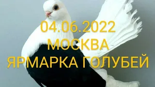 МОСКВА. ЯРМАРКА ГОЛУБЕЙ. 04.06.22