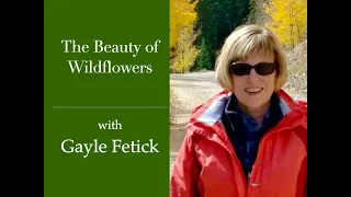 The Beauty of Wildflowers with Gayle Fetick