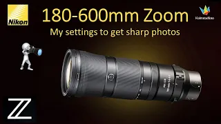 MY SETTINGS Nikon 180-600mm to get sharp photos.  WILDLIFE PHOTOGRAPHY II Bird photography