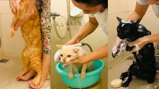 シャカシャカシャワータイム Shower time