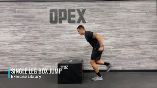 Single Leg Box Jump