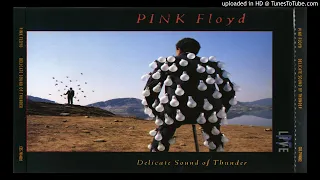 Pink Floyd - Delicate Sound Of Thunder 1988 - Part I