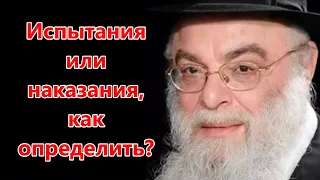 Испытания или наказания как определить? Рав Шая Гиссер