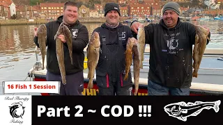 Our Best Trip Yet! | 6lb Cod Caught In Whitby North Sea | Cod Sea Fishing Uk, Catching Cod on a Boat