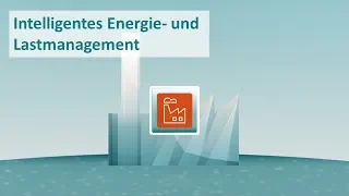 WindNODE live! - AP 7: Lastverschiebepotenziale – Flexibilitäten bei industriellen Lasten