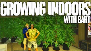 INDOOR WEED GROW in HIGHLIFE RP | Ep 4