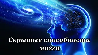 Сила мысли и взгляда | Почему трудно смотреть в глаза