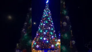 happy Christmas#short #shorts #shortvideo #viral