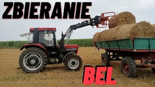 🔥Zbieranie bel 2023 na pełnej🔥Case power🔥