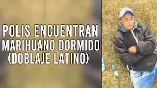 Policías Encuentran Marihuanero Dormido (Doblaje Latino)