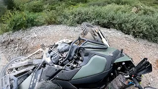 Colorado Adventure Riding: Black Bear Pass