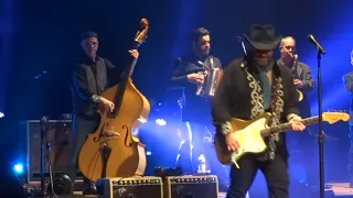 The Mavericks, "You Never Can Tell"